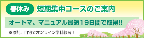 春の短期コース募集中